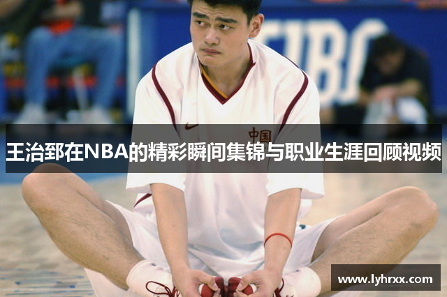 王治郅在NBA的精彩瞬间集锦与职业生涯回顾视频